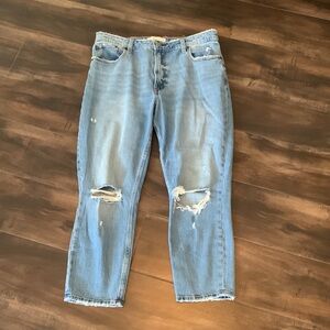 Abercrombie and Fitch Curve Love High Rise Skinny Jeans 31/12 short